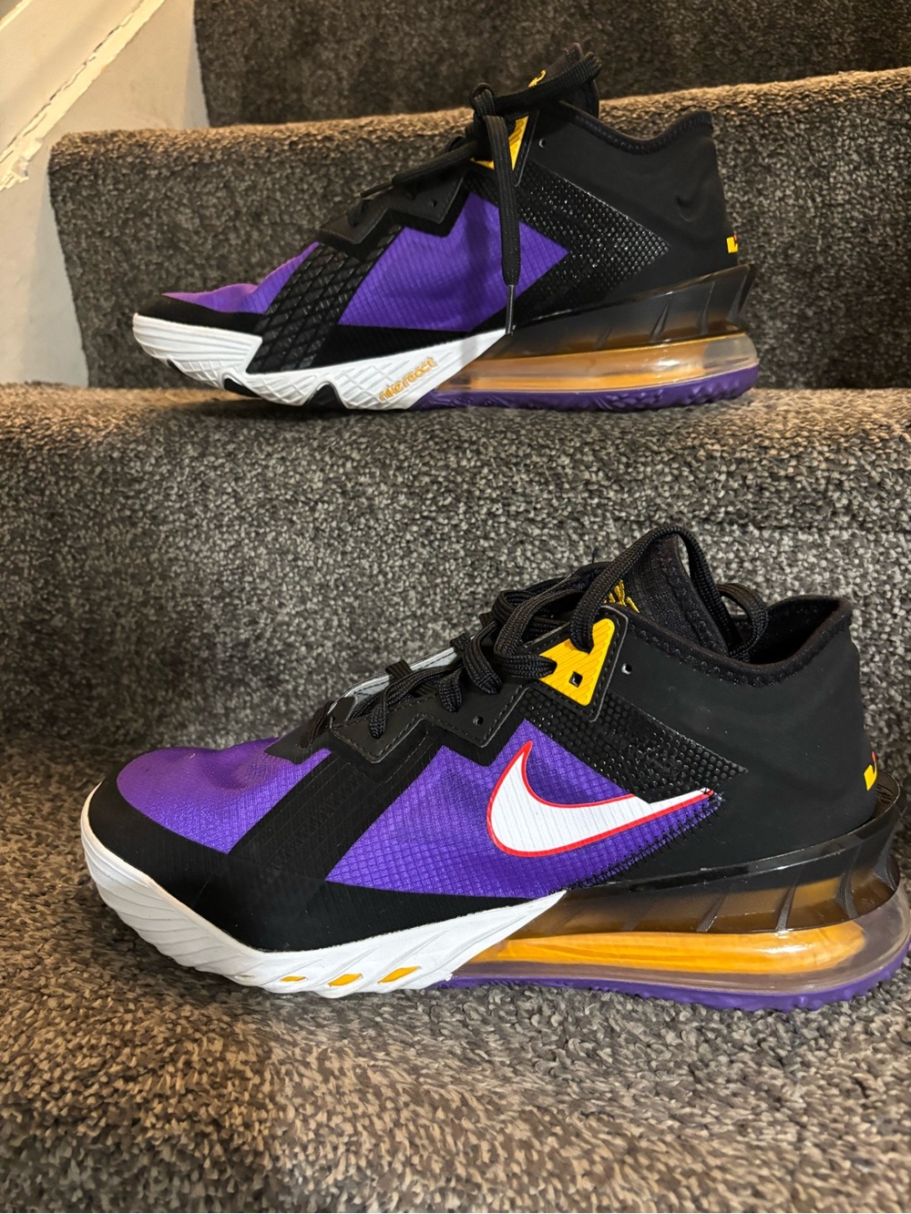 Nike LeBron XVIII Low ACG Terra Black White